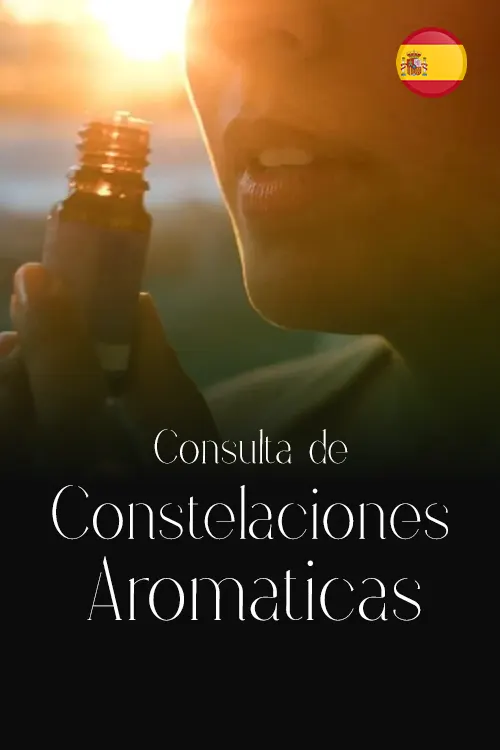 Produto 5 - Consulta de Constelaciones Aromaticas